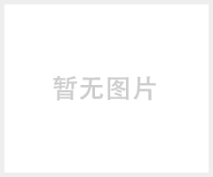 双柱铝合金升降机